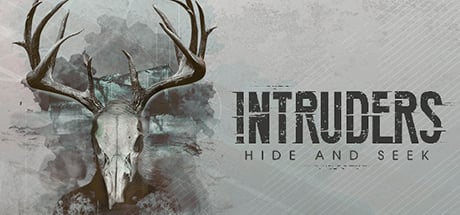 Intruders: Hide and Seek