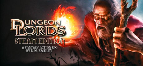 Dungeon Lords Steam Edition