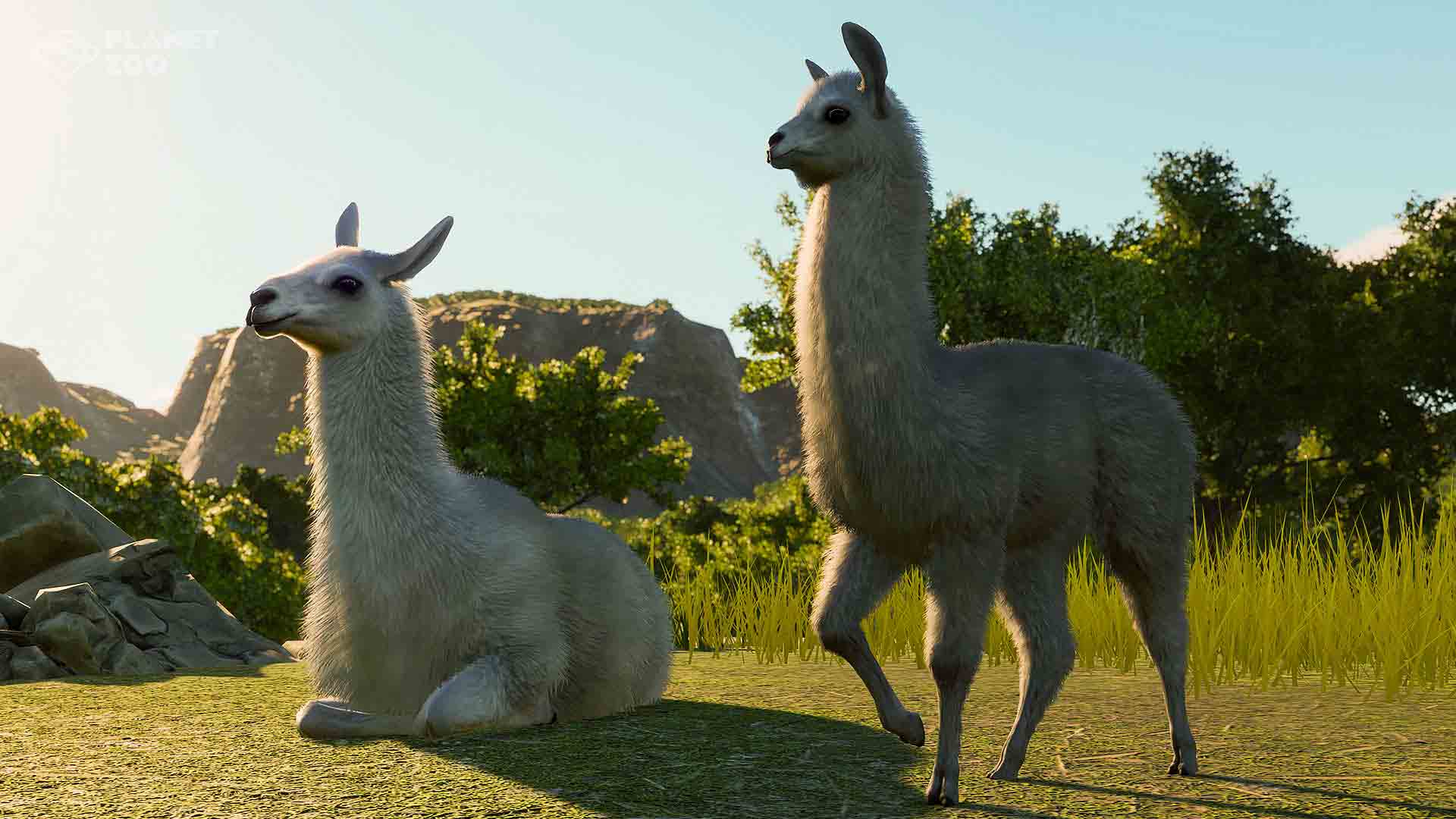 download planet zoo zoopedia for free